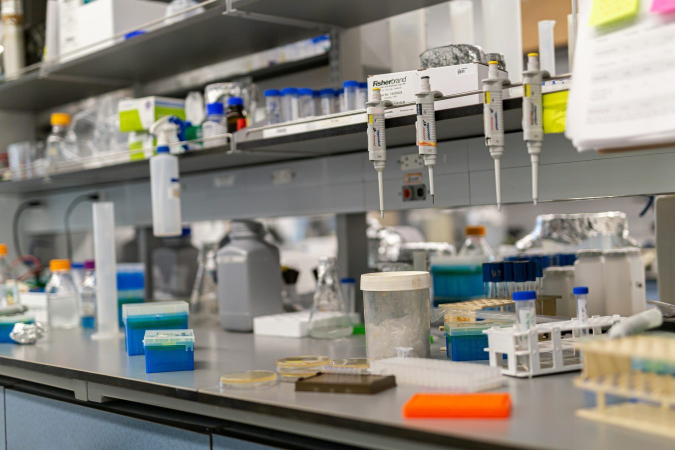 生物信息与基因组智能 (Bio-Genomic Agent)